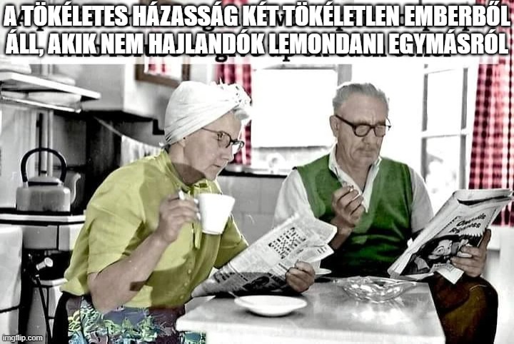 A tökéletes házasság