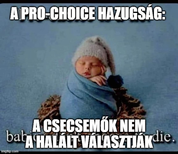 Az abortuszpártiság  (pro-choice) hazugság