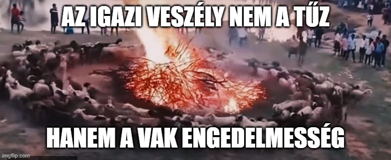 Igazi veszély – vak engedelmesség